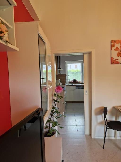 Ferienwohnung Bayernbrise Rohrdorf  Exteriör bild
